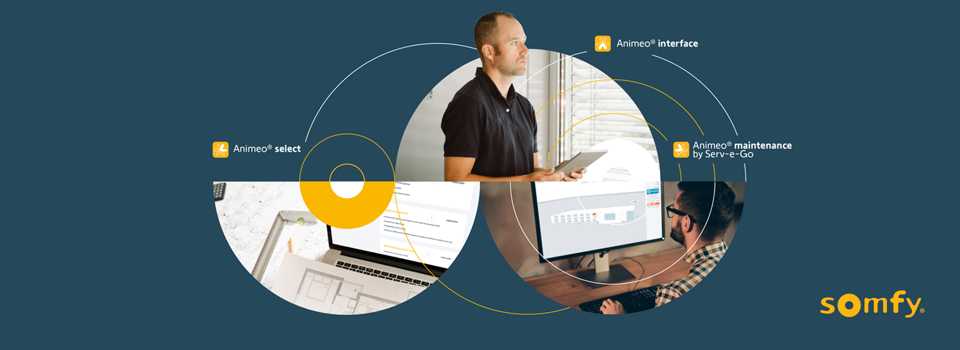 Animeon tärkeimmät edut